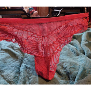 Hush Intimates sheer lace panties Size Medium Bright Pink